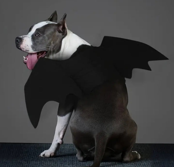 Pet Costume - Bat Wings