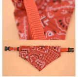 Collar with bandana - size m