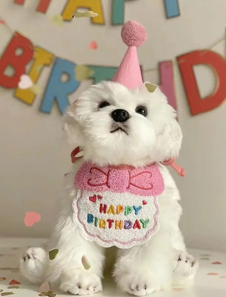 Birthday Set for Small Dog or Cat