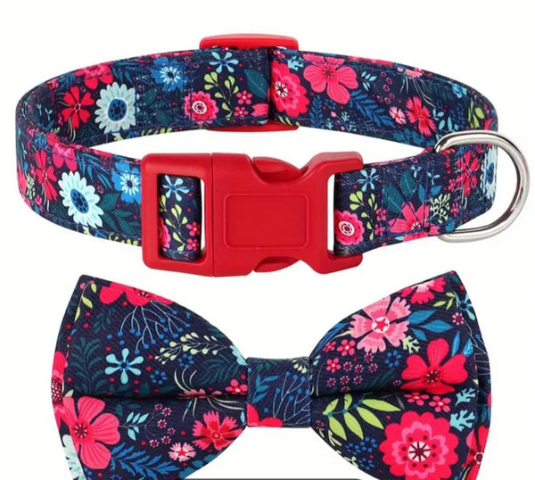 Adjustable Dog Collar with Removeable Bow