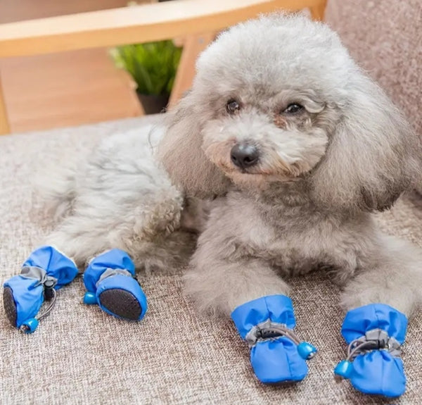 Soft Dog Shoes for Toy/Mini breeds