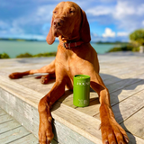 Holistic Hound - Paw & Skin Soak 170g