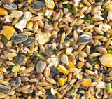 Close-up of a mix of bird seeds in various colors and sizes.