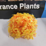 Aqua One Plastic Plant - Vibrance Plant Ball Assorted