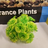 Aqua One Plastic Plant - Vibrance Plant Ball Assorted