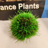 Aqua One Plastic Plant - Vibrance Plant Ball Assorted