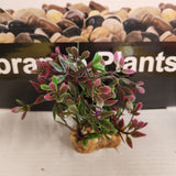 Aqua One Plastic Plant - Vibrance Assorted Plant Mix Small