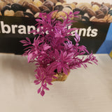 Aqua One Plastic Plant - Vibrance Assorted Plant Mix Small