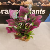 Aqua One Plastic Plant - Vibrance Assorted Plant Mix Small