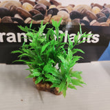 Aqua One Plastic Plant - Vibrance Assorted Plant Mix Small