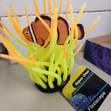 Aqua One Flexiscape Heliofungia with Fish