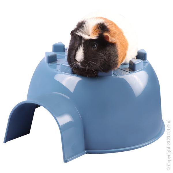 Small Animal Hide Plastic Igloo (19X16.6X9.3CM) Blue. Pet One Small Animal Igloos is an ideal hideaway for small animals such as Guinea Pigs, Rats, Mice and Ferrets to feel safe and secure.  Feature and Benefits:  Providing constant access to hiding places within your small animal’s home allows them to safe and secure