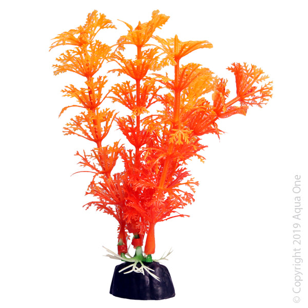 Aqua One Bettascape Ambulia Orange Fish Tank Plant. Aqua One’s Artificial Plants will add vibrancy and a fresh look to any aquarium. Each plant features a weighted base to make aquascaping easy.  You are sure to find plant or two to suit your aquarium from the large range available from Aqua One!
