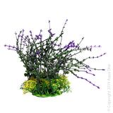 Ecoscape Medium Bladderwort Purple  Aqua One’s Artificial Plants will add vibrancy and a fresh look to any aquarium. Each plant features a weighted base to make aquascaping easy.  You are sure to find plant or two to suit your aquarium from the large range available from Aqua One!  Specifications: 20cm tall.
