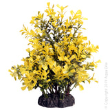 Ecoscape Medium Japanese Box Yellow  Aqua One’s Artificial Plants will add vibrancy and a fresh look to any aquarium. Each plant features a weighted base to make aquascaping easy.  You are sure to find plant or two to suit your aquarium from the large range available from Aqua One!  Specifications: 20cm tall.