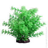 Ecoscape Medium Ambulia Green  Aqua One’s Artificial Plants will add vibrancy and a fresh look to any aquarium. Each plant features a weighted base to make aquascaping easy.  You are sure to find plant or two to suit your aquarium from the large range available from Aqua One!  Specifications: 20cm tall.