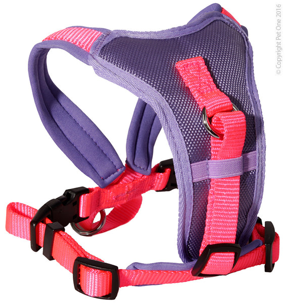Pet One Harness - Comfy 38 - 46cm Padded 15mm   Pet One Comfy Lead and Harness range provides durability, comfort and style for your pet.  Pet One has an extensive range of Leads and Harnesses available. You are sure to find an accessory to suit the breed and personality of your pet, and ensure they strut their stuff in style!