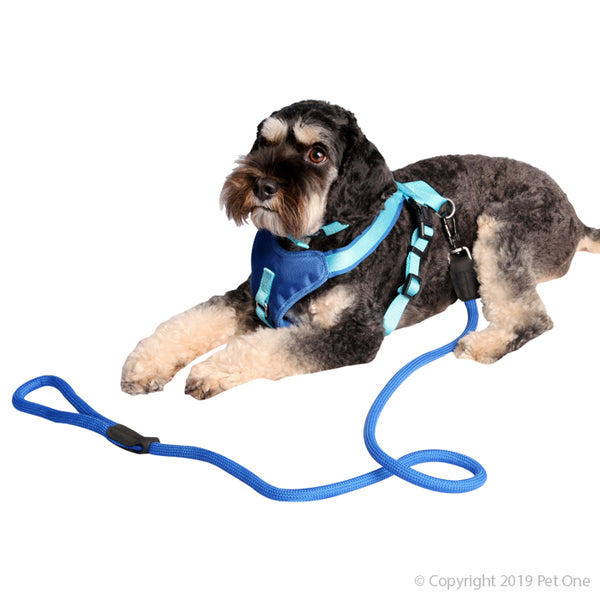 Pet One Harness - Comfy 46 - 56cm Padded 20mm Blue