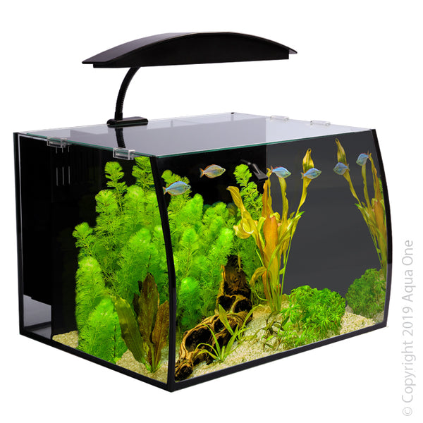 Arc 30 Glass Aquarium 30L 40L X 32.5D X 28cm H  The Aqua One ARC Aquarium showcases a stylish curved front and stunning LED lighting, allowing you to create a beautiful underwater oasis for your fish.  With an impressive hidden internal filtration system, it provides a combination of biological, mechanical and chemical filtration to help maintain water quality and keep your fish happy and healthy.