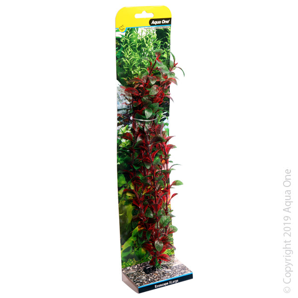 Ecoscape XL Hygro Red Fish Tank Plant. Specifications:  40 cm  Features & Benefits:  Rearrange your artificial plants within the aquarium at any time. Does not require special lighting, supplements or pruning. Safe to use with destructive fish such as Cichlids. When adding additional artificial plants to the aquarium there is no risk of introducing foreign pests or parasites. Artificial Plants do not decay and will hold their shape longer than live plants.