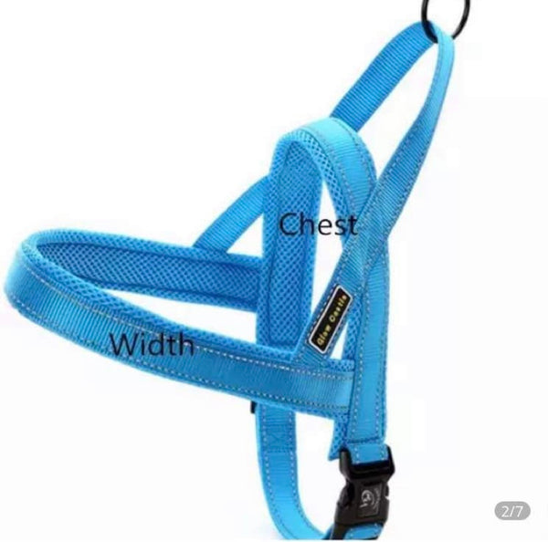 Easy fit harness with night time reflective stitching  Easy to put one, only one chest clip to do  Chest is adjustable  Ring to attach a lead  Stitching is reflective at night