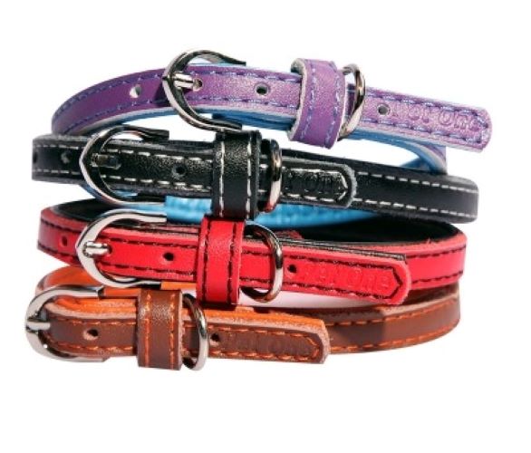 Collar Leather With Synthetic Padding Puppy 30cm Red. Synthetic Padding Soft yet strong texture makes it hard wearing Heavy duty buckle and D-ring for your lead Lightweight – Perfect for puppies who aren’t used to wearing something around their neck Leather get softer and more attractive over time Adjustable in small increments to ensure a perfect fit for your pet