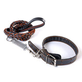 Leather Dog Collar And Leash Set