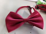 Cute Bow Tie for your Pet