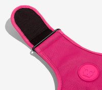 Adjustable zee dog mesh harness