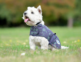 WeatherBeeta ComFiTec Premier Free Parka Dog Coat Medium