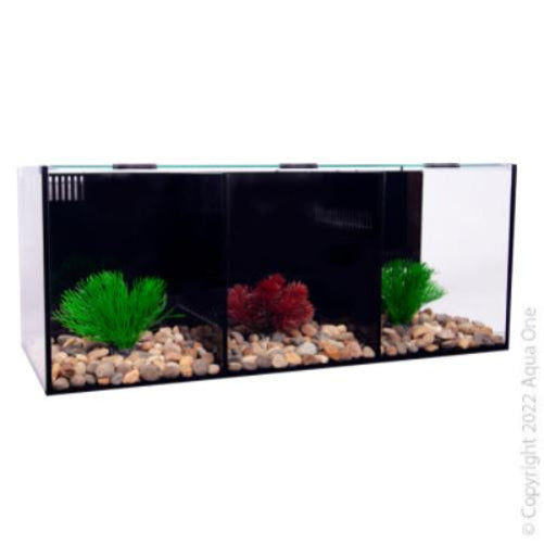 IN STORE PICK UP ONLY - Aqua One Betta Condo Trio