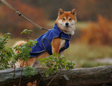 WeatherBeeta ComFiTec Premier Free Duo Deluxe Parka Dog Coat