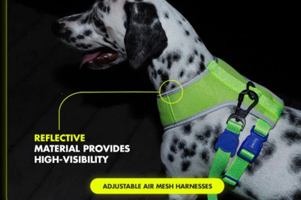 zee dog reflective adjustable dog harness