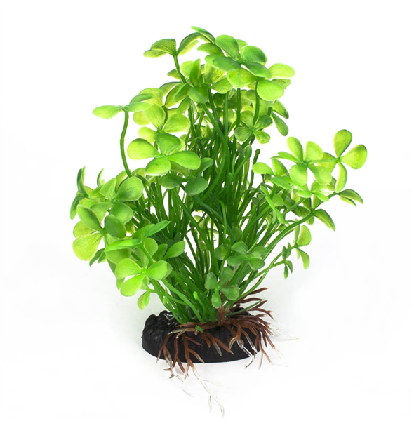 AQ Plant Irish Clover 10cm