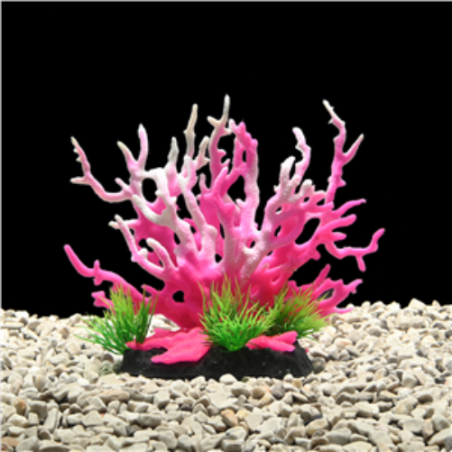 AquaWorld Plant Pink Coral Tree 15cm