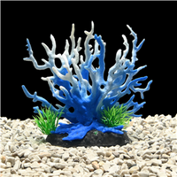 AquaWorld Plant Blue Coral Tree 15cm