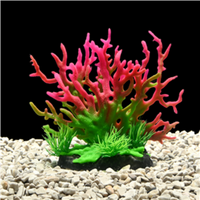 AquaWorld Plant Red Coral Tree 15cm