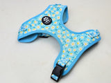 Dog Harness Bundle Set - Daisy Meadow
