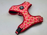 Dog Harness Bundle Set - Strawberry Field