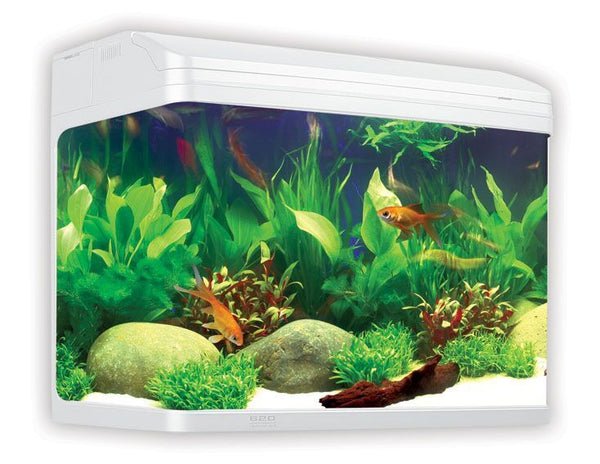 Aqua One AR620 AquaStyle Tank (Gloss White) 90L