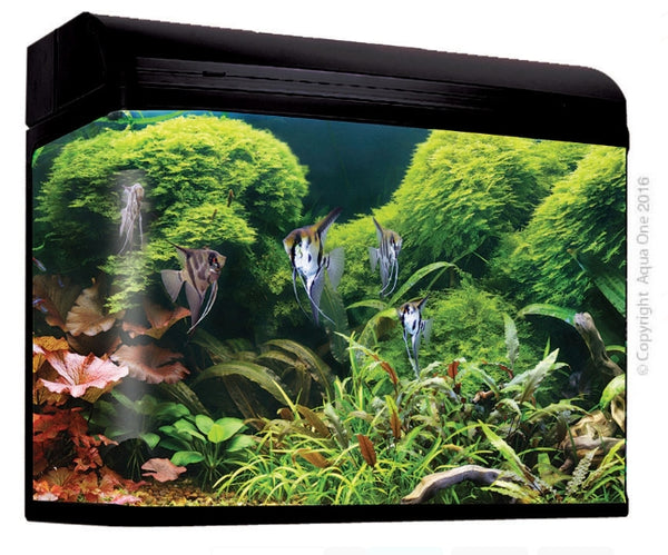 AquaStyle 980T 240L Tall Curved Glass Aquarium Gloss Black