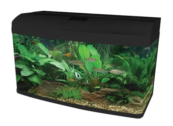 Aqua One AR980 AquaStyle Tank (gloss Black) 215L
