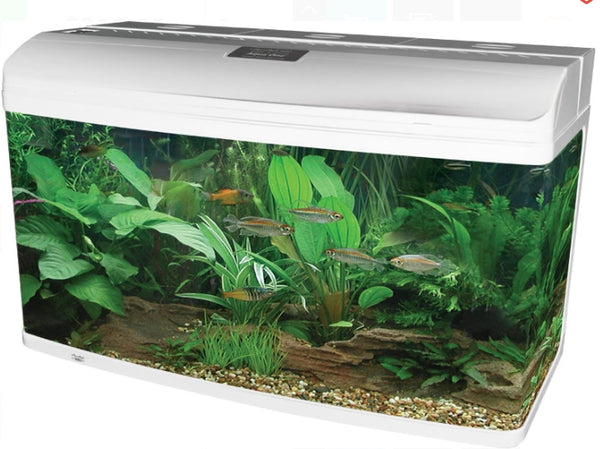 Aqua One AR980 AquaStyle Tank (gloss white) 215L