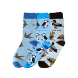 Beautiful Blue Birds Bundle of 3