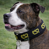 Black & Yellow Knot (black backing) Soft Martingale Collar
