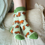 Capybara Lover Bundle of 2