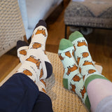 Capybara Lover Bundle of 2