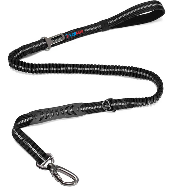 Bungee Dog Leash, 4-6FT No Pull Dog Leash with Car Seatbelt