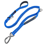 Bungee Dog Leash, 4-6FT No Pull Dog Leash with Car Seatbelt