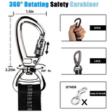 Bungee Dog Leash, 4-6FT No Pull Dog Leash with Car Seatbelt